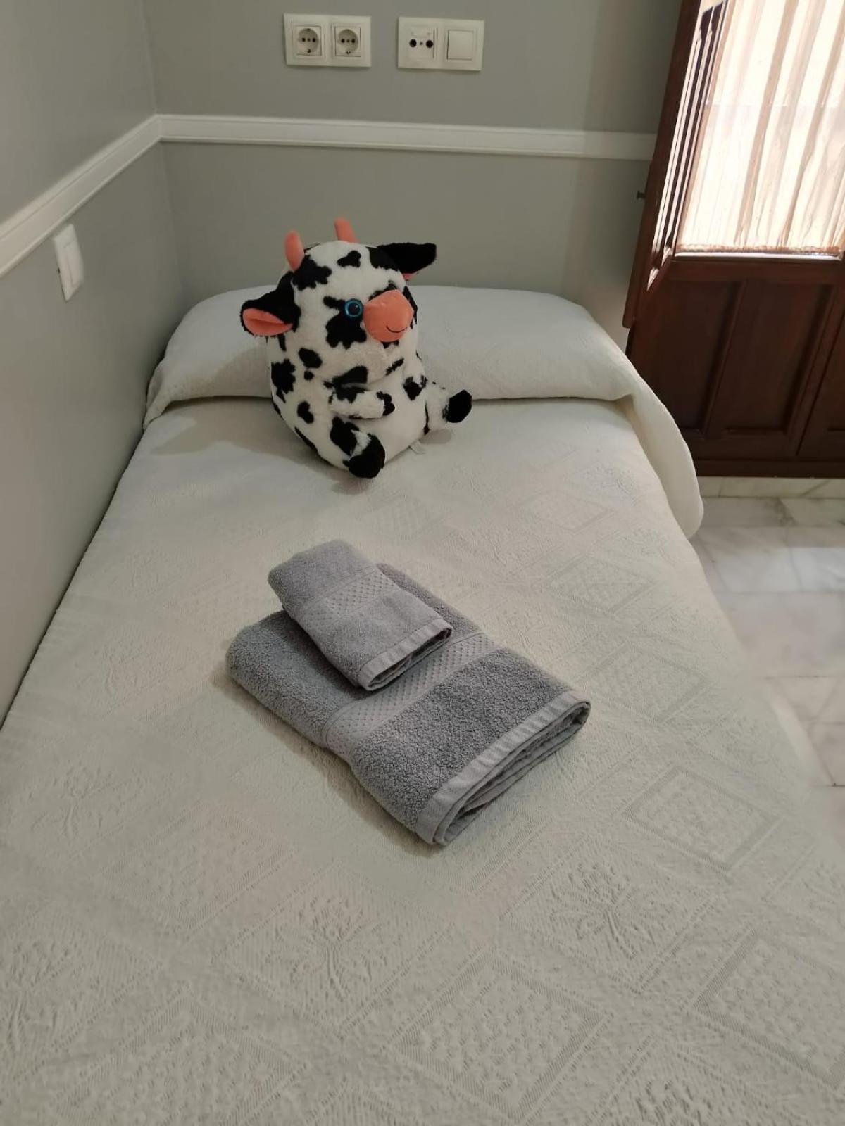 Casa Libelula Blanca Cordoba Apartment Ngoại thất bức ảnh